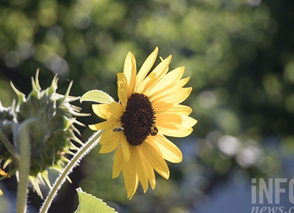 Heat wave in Okanagan, Kamloops likely won’t last