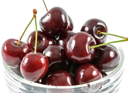 Mammoth-sized cherry orchard near Kamloops gears up for second harvest season