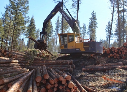 BC invests $7 million into mass timber industry in Okanagan