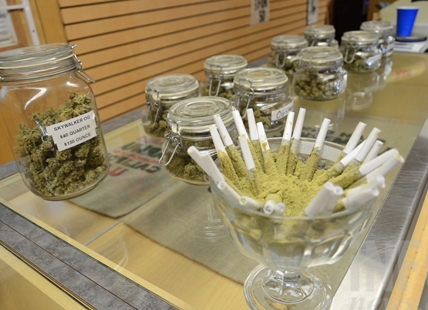 Penticton and Vernon in running to become cannabis tourism capital of Canada