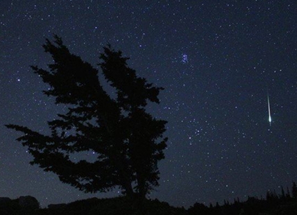 Geminids meteor shower peaks this week in skies over Kamloops, Okanagan