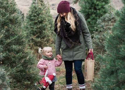 Okanagan Christmas tree shortage exacerbated by retiring tree farmers