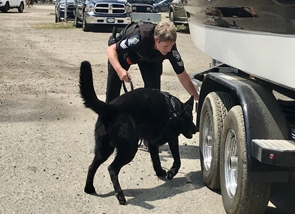 Invasive mussel scare in Okanagan prompts petition to federal government