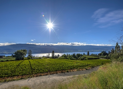 Summerland winery group transitions to renewable natural gas