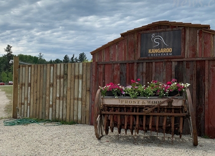 Parrots at Kelowna's popular Kangaroo Creek Farm quarantined due to avian flu threat