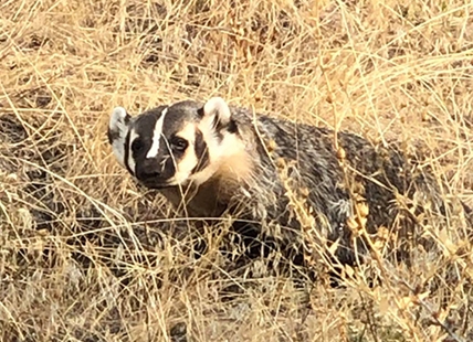 iN NUMBERS: The progress on the fight against climate change in Thompson-Okanagan