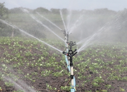 Noble Creek irrigation handed over to Kamloops farmers