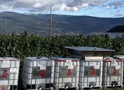 Okanagan company gets federal funding to develop winery clean tech