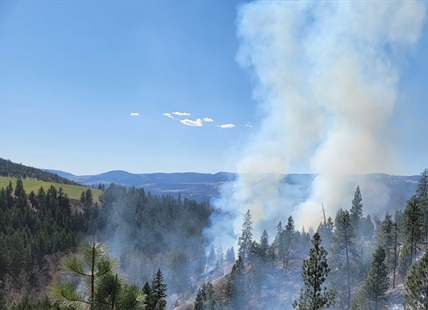 Fire burning outside Kamloops human caused