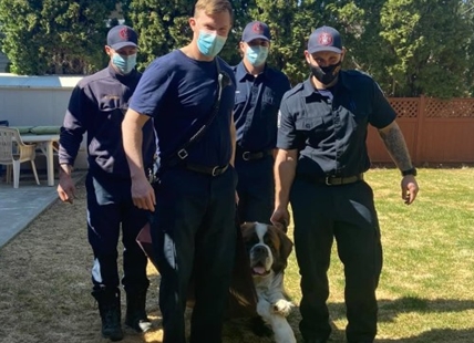 Kamloops firefighters make another dog rescue