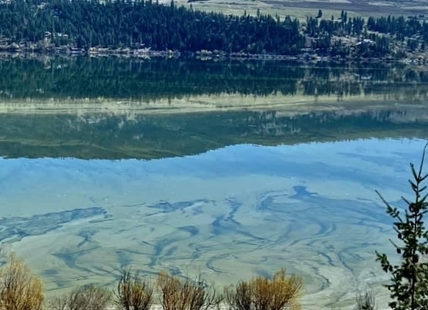 Interior Health warns of potentially harmful algae bloom on Wood Lake