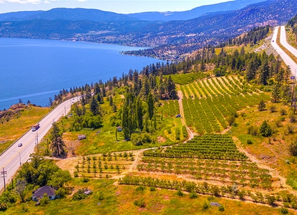 Huge development that could double Peachland's population picking up steam