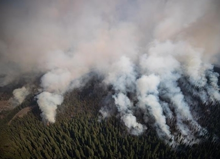 Okanagan man who refused evacuation order during 2021 wildfire back in court