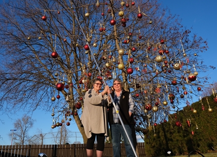 Cooler weather won’t help white Christmas in Okanagan, Kamloops and far beyond