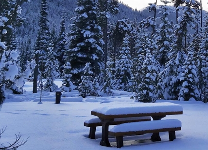 New four-season campground opens in one of B.C.'s busiest parks