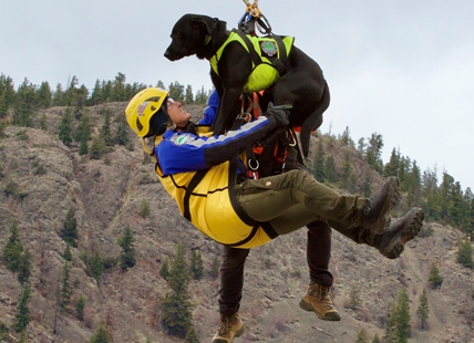 Central Okanagan Search and Rescue uses furry friend to locate lost people