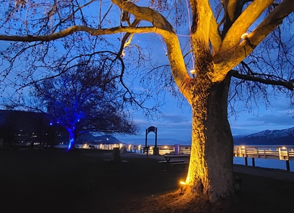 Peachland park lights up in support of Ukraine