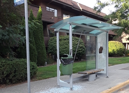 Vandals do $50,000 damage smashing Kelowna bus shelters