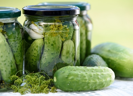 PICKLE LOVERS WANTED: Quirky Kamloops tourism campaign launches on April Fools' Day