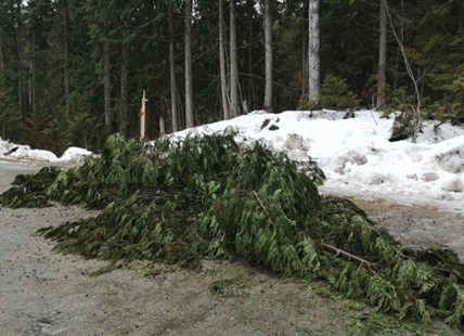 Popular North Okanagan hiking spot vandalized, again