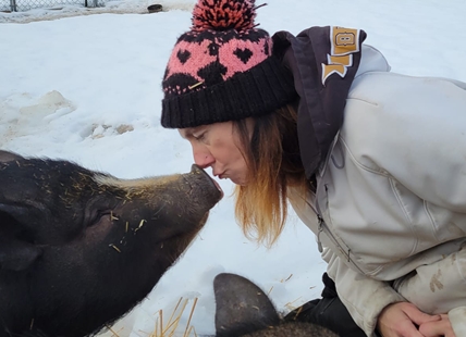 Pig sanctuary opening new location in Okanagan