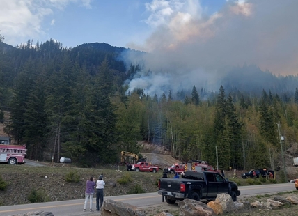 Fire crews working wildfire in North Shuswap