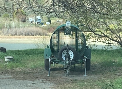 Conservation service sets trap for nuisance bear in Kamloops neighbourhood