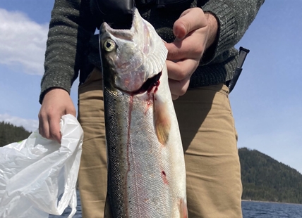 Conservation officers issue tickets, seize fish during weekend patrols on Shuswap Lake