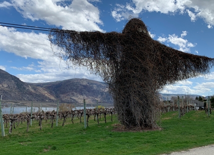 Creepy vineyard monster has more than 20-year history in Okanagan