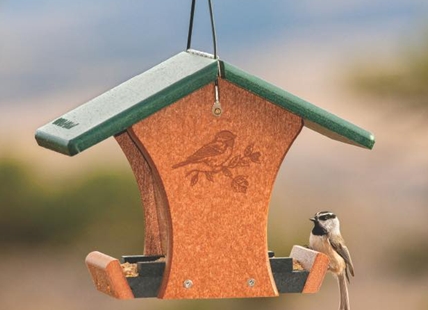 Birdfeeders have become an issue of controversy in Kamloops and the Okanagan