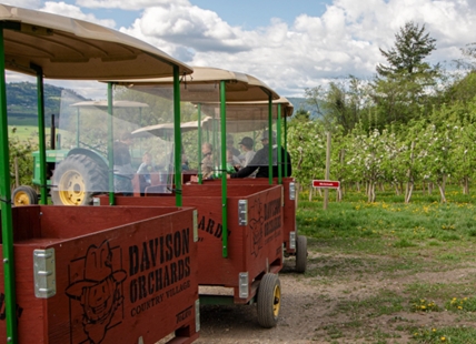 Vernon's Davison Orchards to be featured on 'Amazing Race Canada'