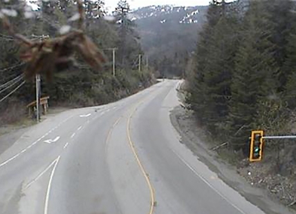 Creepy crawler turns B.C. traffic camera into spider-cam