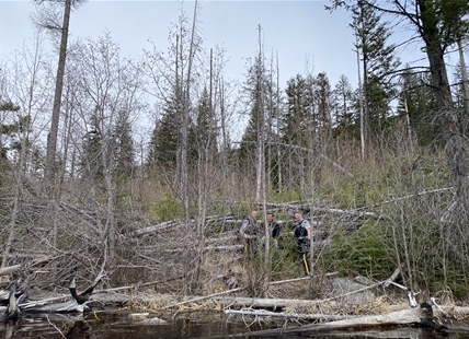 Helicopter, boat used in Chute Lake rescue operation near Kelowna