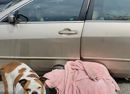 HOUSING CRISIS: Kind stranger rescues Kelowna couple and dog living in a car