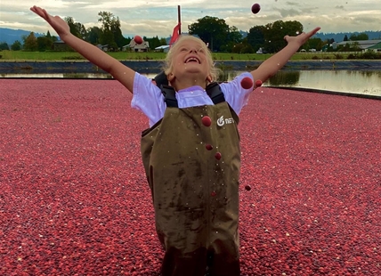 iN HOLIDAY: B.C. cranberries from farm to Christmas plate