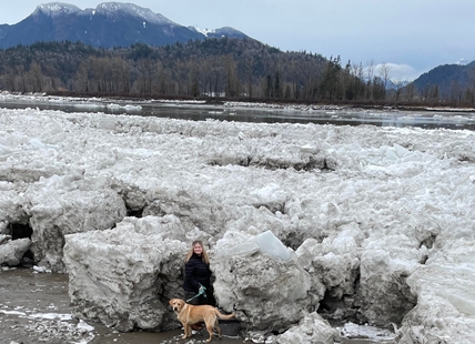 Giant ice chunks take over beach along the Fraser River