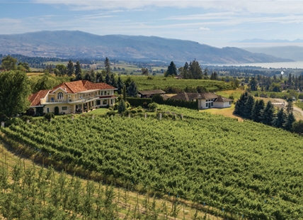 Vibrant Vine vineyard sale in Kelowna expands to include the winery