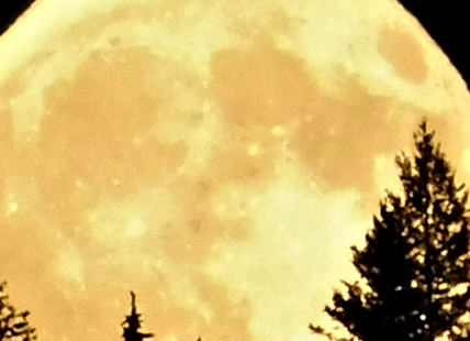 Crystal clear night for full Strawberry Moon viewing in Kamloops, Okanagan