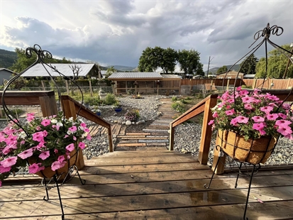 iN PHOTOS: Muddy backyard near Kamloops transforms into xeriscape masterpiece