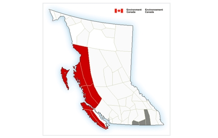 Tsunami advisory issued for B.C. due to volcano eruption in Tonga Islands