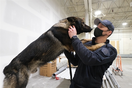 iN VIDEO: Every dog has its day with the Kelowna RCMP