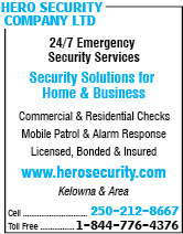 Hero Security Company Ltd