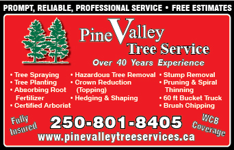 Pine Valley Tree Service