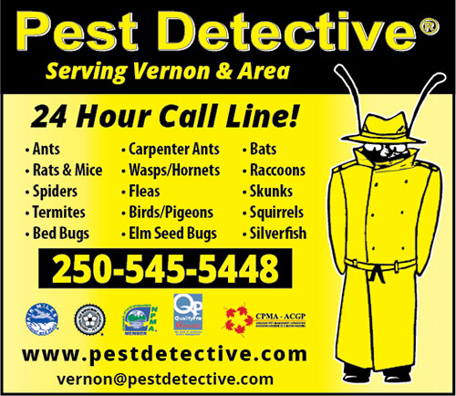 Pest Detective - Vernon