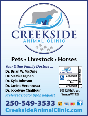 Veterinarians in Vernon Salmon Arm Revelstoke and Areas | iNFOTEL  Multimedia Business Directory