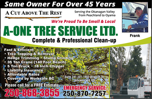 A-One Tree Services Ltd