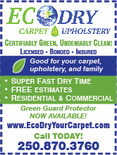 Ecodry Carpet And Upholstery