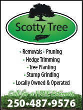 Scotty Tree