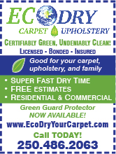 Ecodry Carpet And Upholstery