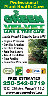 Green Velvet Lawn & Tree Care